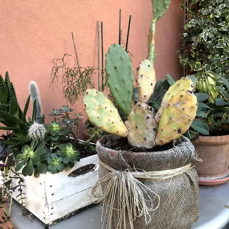 Appartement Ca' Bareta *
